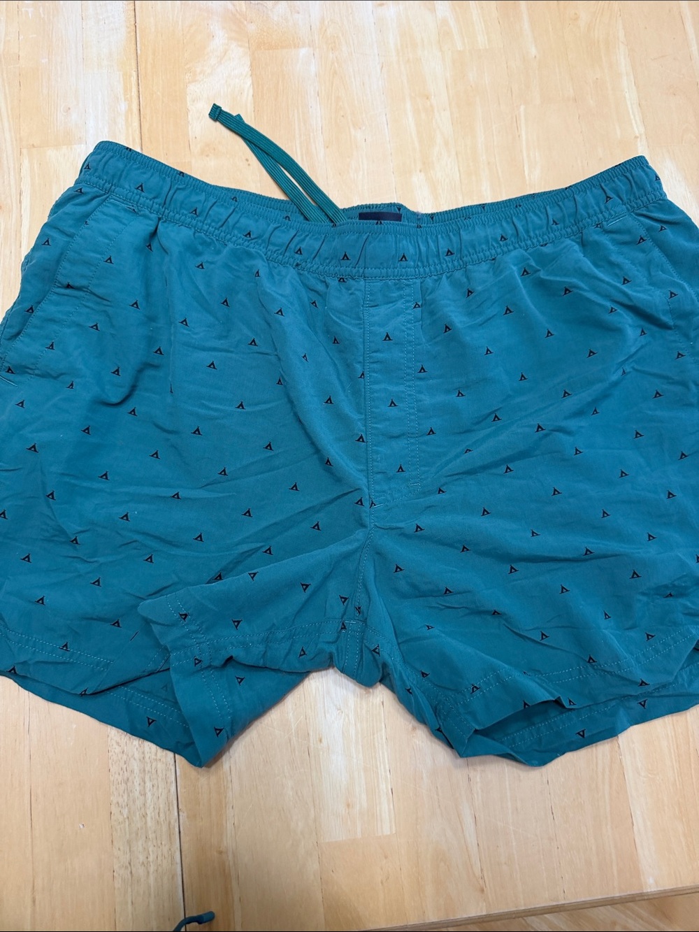 The North Face water shorts